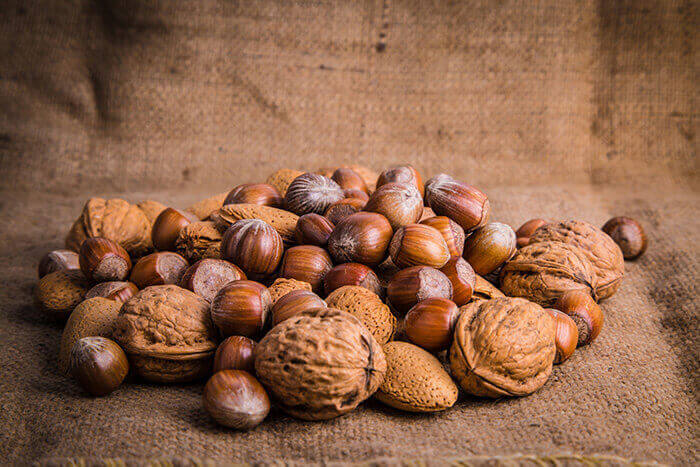 Hasatsan Nut Harvesters Sakarya/Turkey